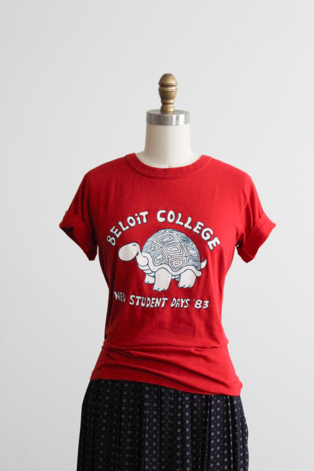 tortoise graphic tee