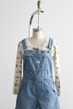 driftwood short overalls
