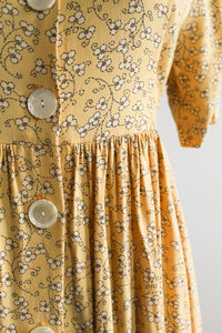 honeybee picnic dress