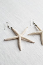 starfish earrings