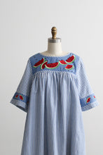 picnic in the park dress