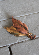 autumn leaves brooch